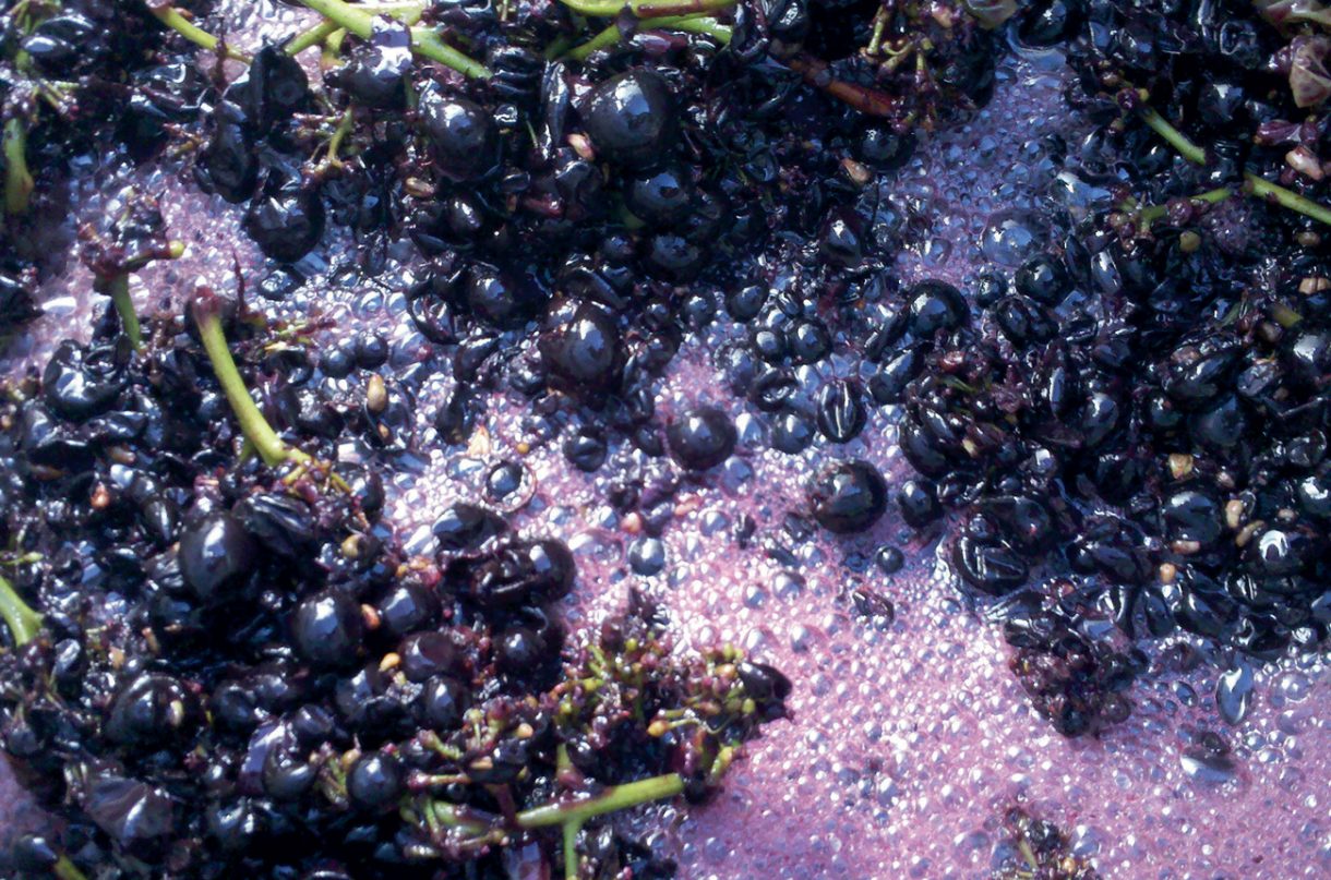 A1 2017 takes top spot in Decanter's Top 30 carbonic maceration reds.