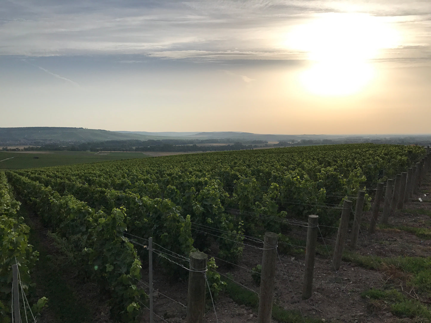Beyond Burgundy: The New World finds its way with Pinot Noir and Chardonnay