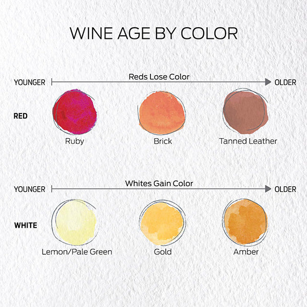 What Really Happens as Wine Ages?