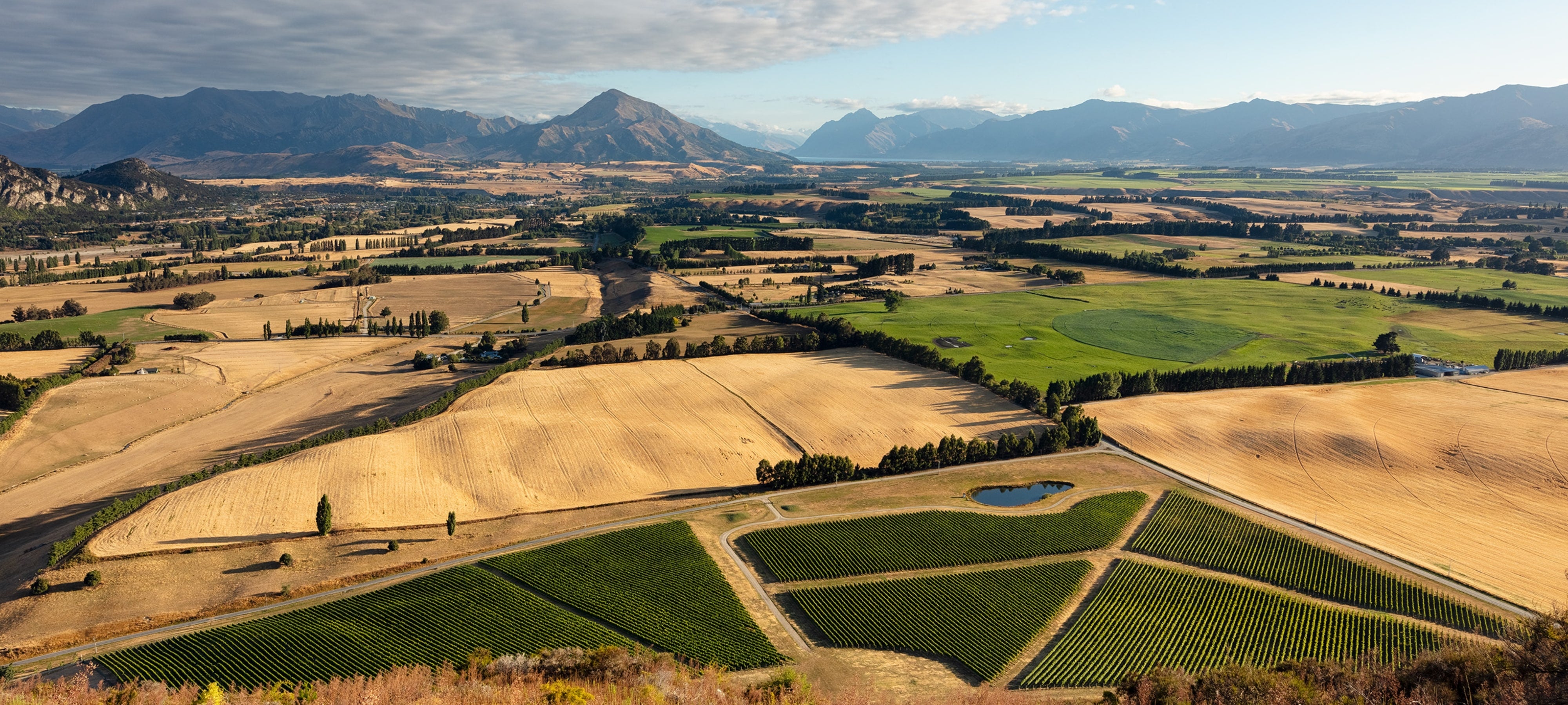 Akitu | Central Otago Pinot Noir – akitu